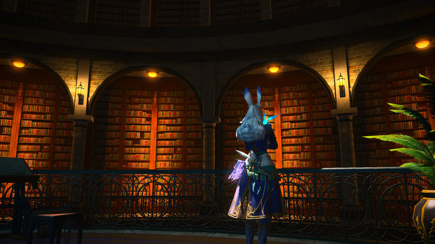 Admiring all the books