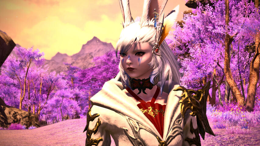 What a strange place